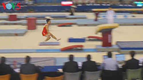 Zahlreiche Goldmedaillen für vietnamesische Sportler bei internationalen Wettbewerben - ảnh 1